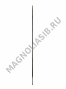 Стебель без листа 43см