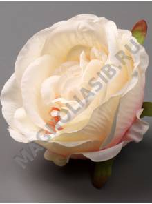 Роза "Кремовая" хлопок 10см (мол-роз крас свек карам жел сир )