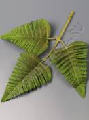 Лист папоротника Орляк 3 листа матовый хлопок 24см