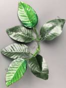 Лист розы шёлк 6 листьев 25см (средн отверстие на толстый стебель)