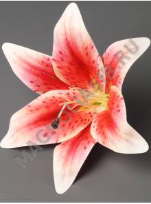 Лилия латексная Тигровая крупная 20см в компл. с тычинкой (бел крас син бел-крас сир)