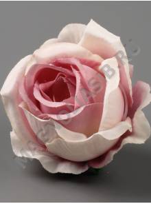 Роза Кружевная кустовая сатин 6см (бел крас крем-роз)