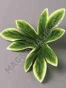 Подразетник лист пиона со светлой кромкой нетк 14см