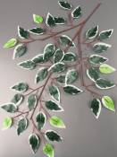 Ветка фикуса с белой кромкой эконом 61см