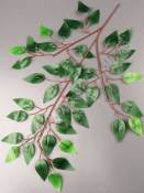 Ветка фикуса зеленого эконом 61см