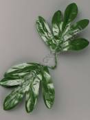 ***Лист пиона двойной 11/25см (среднее отверстие на толстый стебель)