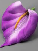 Калла с пестиком флок 1сл 10см (бел крас син лайм оран мал фиол)