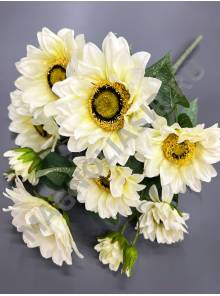 Букет подсолнухов натуральных белых 9гр 47см