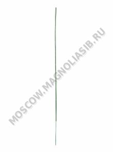 ***Стебель без листа 30 см