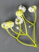 Добавка пластм соцветие гипсофилы 5.5см