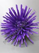 Хризантема игольчатая хлопок 17см (бел крас роз борд фиол желт)