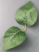 Лист подсолнуха, георгина с прожилками двойной хлопок 22см