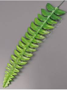 Лист папоротника шёлкового лесного средний 35/48 см