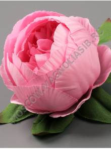 Пион шаровидный Тайфун хлопок 8сл 10см (бел сир роз перс борд микс)