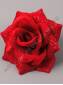 ***Роза барх с блеском 5сл 15см (борд с крас)/К
