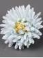 Хризантема кустовая хлопок 6сл 7см (бел борд гол крем желт пеп-сир)